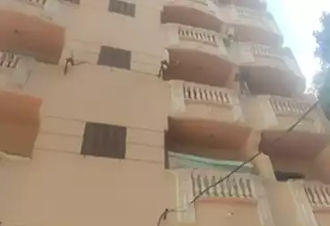 شقق للبيع - 2 غرف - بالدور 2