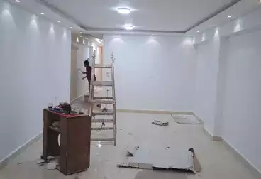 عقارات للإيجار - 3 غرف - بالدور 0