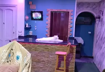 شقق للبيع - 3 غرف - بالدور 3