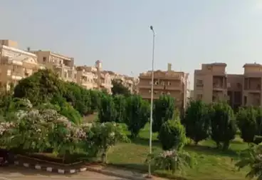 Apartment للبيع