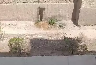 عقارات للبيع - 3 غرف - بالدور 3