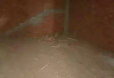 Properties For sale - 2 rooms - floor 11