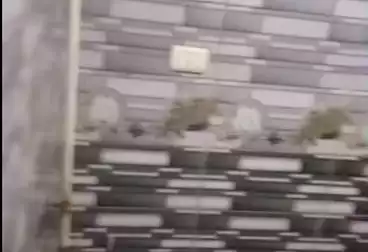عقارات للإيجار - 2 غرف - بالدور 5