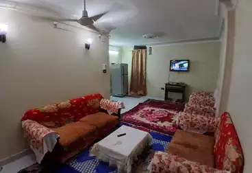 شقق للبيع - 2 غرف - بالدور 2