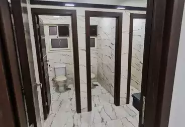 عقارات للإيجار - 6 غرف - بالدور 5