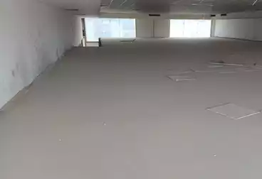عقارات للإيجار