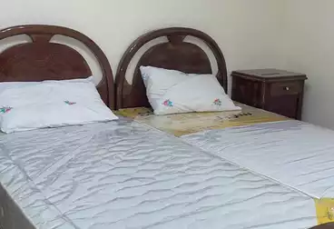 عقارات للإيجار - 3 غرف - بالدور 2