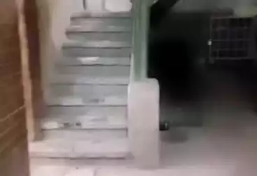 undefined undefined - 2 rooms - floor 0