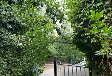 Villas For sale - 3 rooms