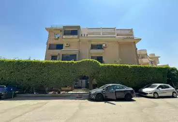 شقق للبيع - 4 غرف - بالدور 1
