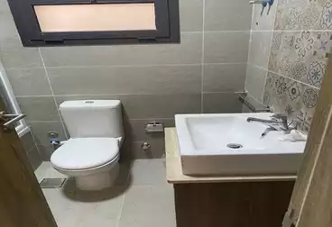 شقق للإيجار