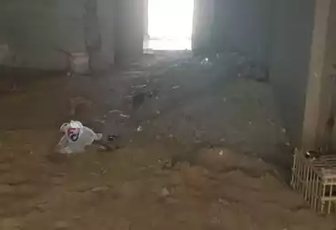 شقق للبيع - 3 غرف - بالدور 0