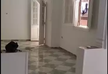 Properties For rent - 3 rooms - floor 1