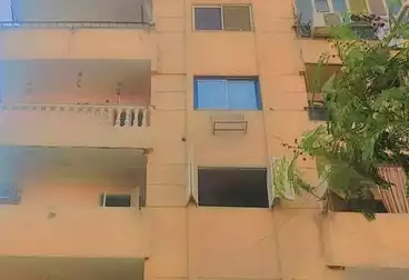 شقق للبيع - 3 غرف - بالدور 13