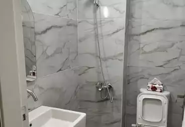 Serviced Apartments For rent - 3 rooms - floor 2