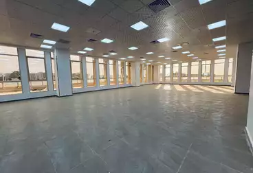 Properties For rent - 7 rooms - floor 1