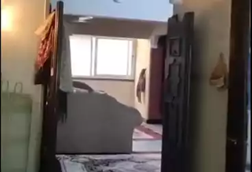 Apartments For sale - 3 rooms - floor 3