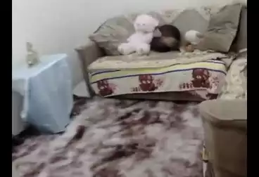 Apartments For sale - 1 rooms - floor 1