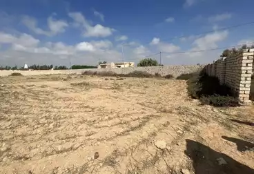 أراضي للبيع