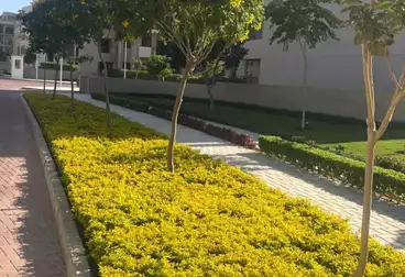 undefined undefined - 2 rooms - floor 4