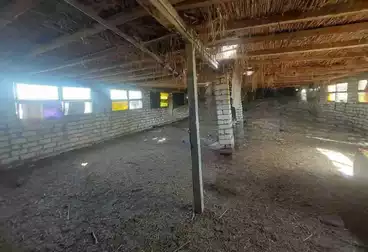 أرض زراعية للبيع