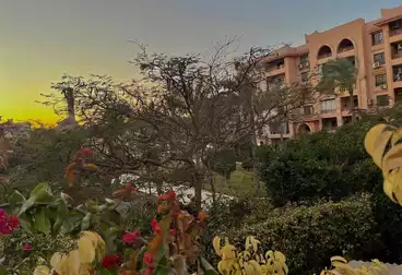 Properties For rent - 4 rooms - floor 1