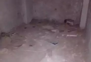 شقق للبيع - 3 غرف - بالدور 1