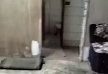 عقارات للبيع - 2 غرف - بالدور 1