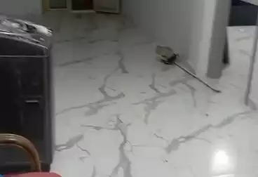 شقق للبيع - 2 غرف - بالدور 5