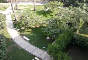 Apartments For rent - 4 rooms - floor 1