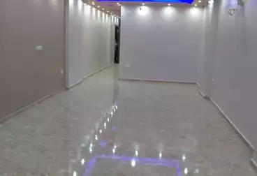 Apartments For rent - 3 rooms - floor 7