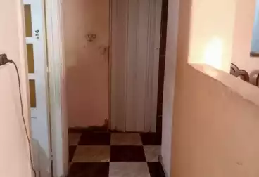 شقق للبيع - 3 غرف - بالدور 1