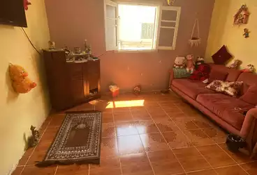 Apartments For sale - 2 rooms - floor 7