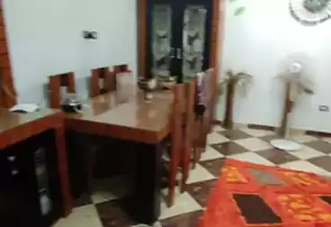 شقق للبيع - 3 غرف - بالدور 7