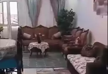 شقق للبيع - 2 غرف - بالدور 6