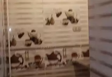 undefined undefined - 2 rooms - floor 1