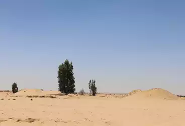 Residential Land For sale