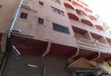 شقق للبيع - 2 غرف - بالدور 1