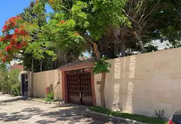 Garden Villa For sale - 3 rooms