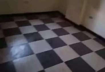 شقق للبيع - 2 غرف - بالدور 2