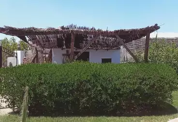 فيلا منفصلة للبيع - 3 غرف