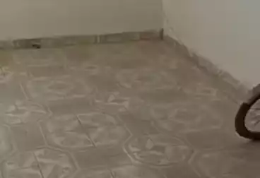 undefined undefined - 3 rooms - floor 1