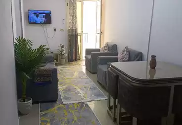 Furnished Apartment For rent - 2 rooms - floor 9