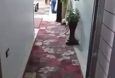 Apartments For sale - 3 rooms - floor 7