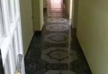 Apartments For sale - 3 rooms - floor 1