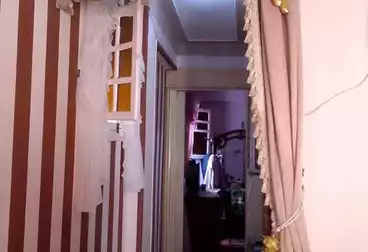 شقق للبيع - 2 غرف - بالدور 6