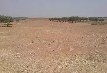 أراضي للبيع