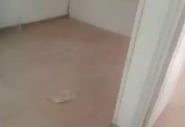 undefined undefined - 2 rooms - floor 4