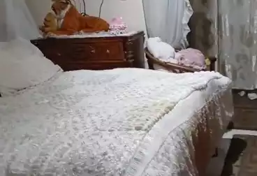 undefined undefined - 3 rooms - floor 1