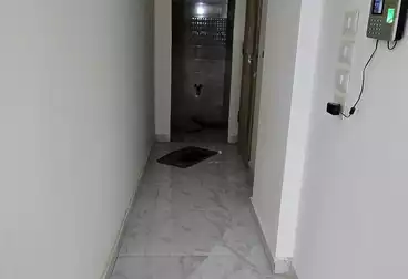 شقق للإيجار - 3 غرف - بالدور 7